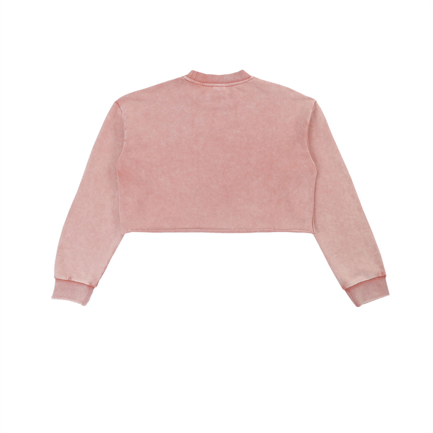 GO BIRDSN Snow Washed Raw Edge Cropped Sweatshirt
