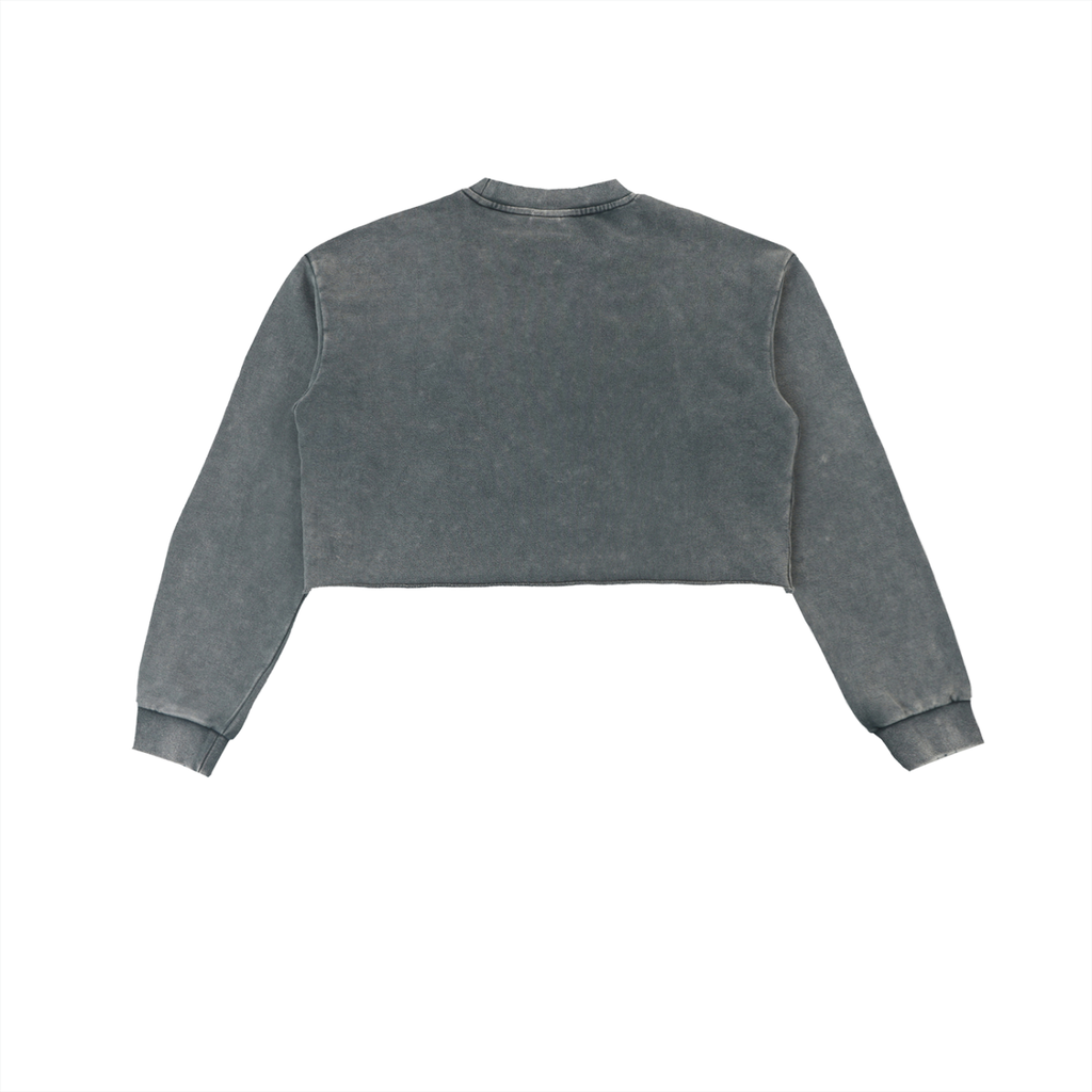 GO BIRDSN Snow Washed Raw Edge Cropped Sweatshirt