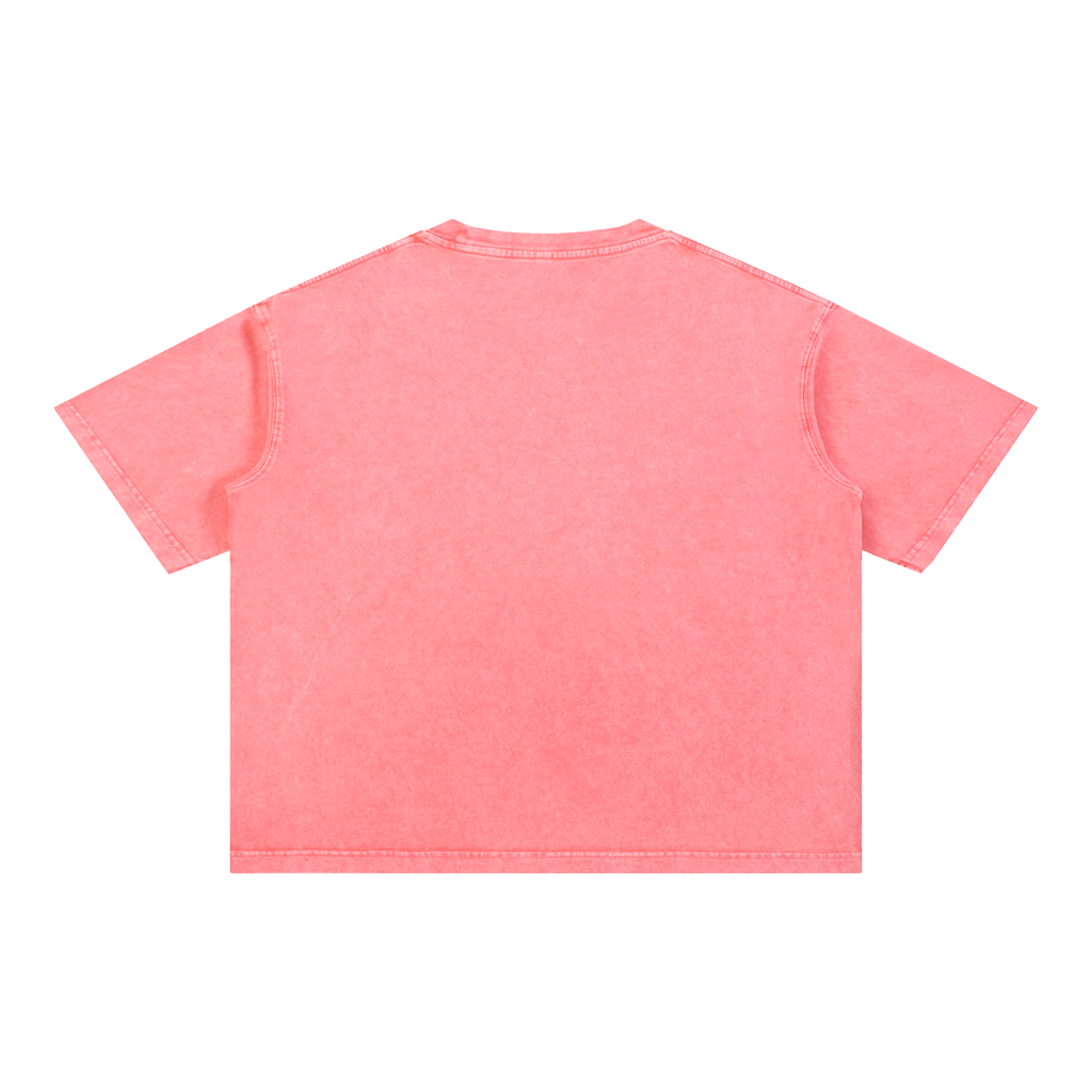 GO BIRDS Adult Mineral Wash Boxy Cotton T-Shirt