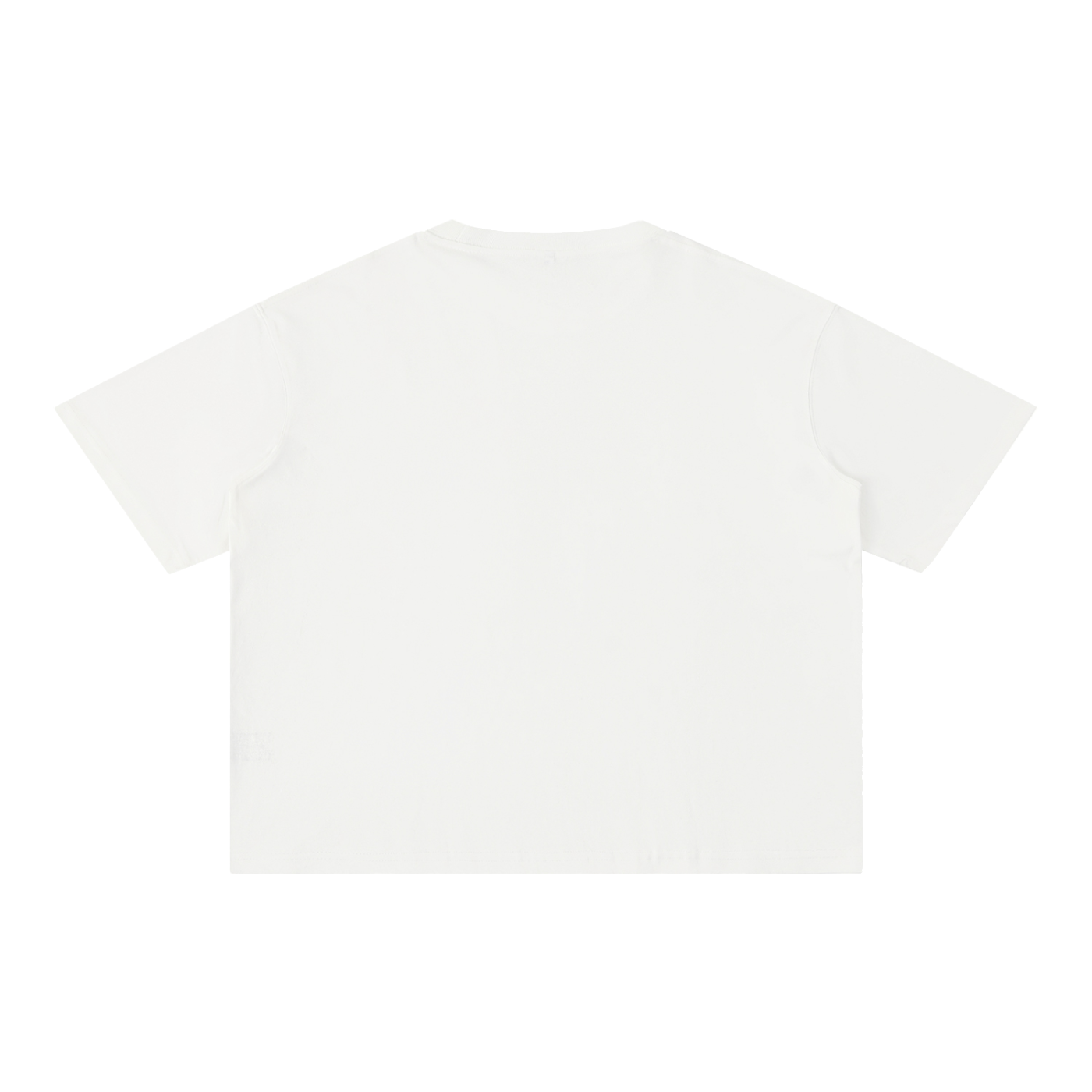 GO BIRDS Adult Mineral Wash Boxy Cotton T-Shirt