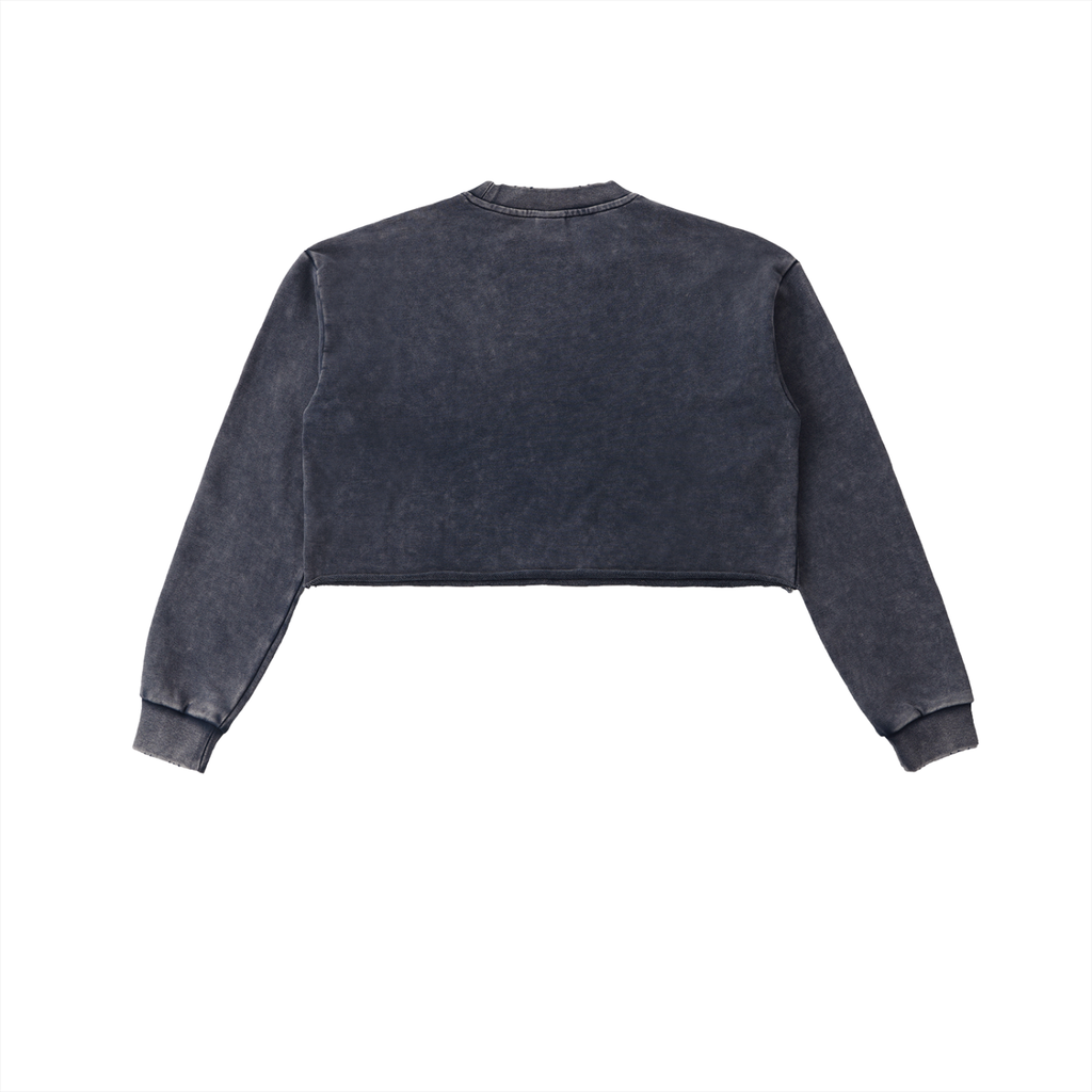 GO BIRDSN Snow Washed Raw Edge Cropped Sweatshirt