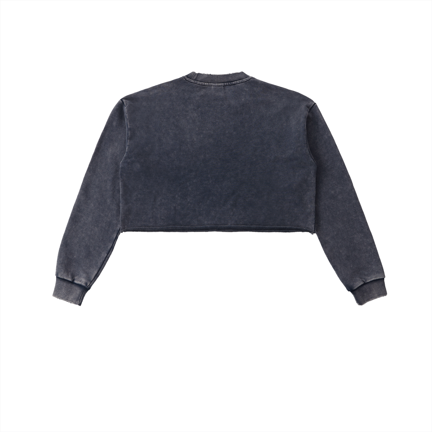 GO BIRDSN Snow Washed Raw Edge Cropped Sweatshirt