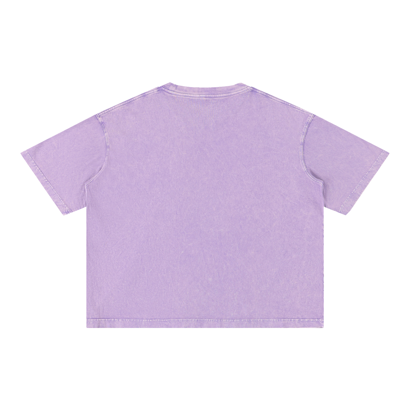 GO BIRDS Adult Mineral Wash Boxy Cotton T-Shirt