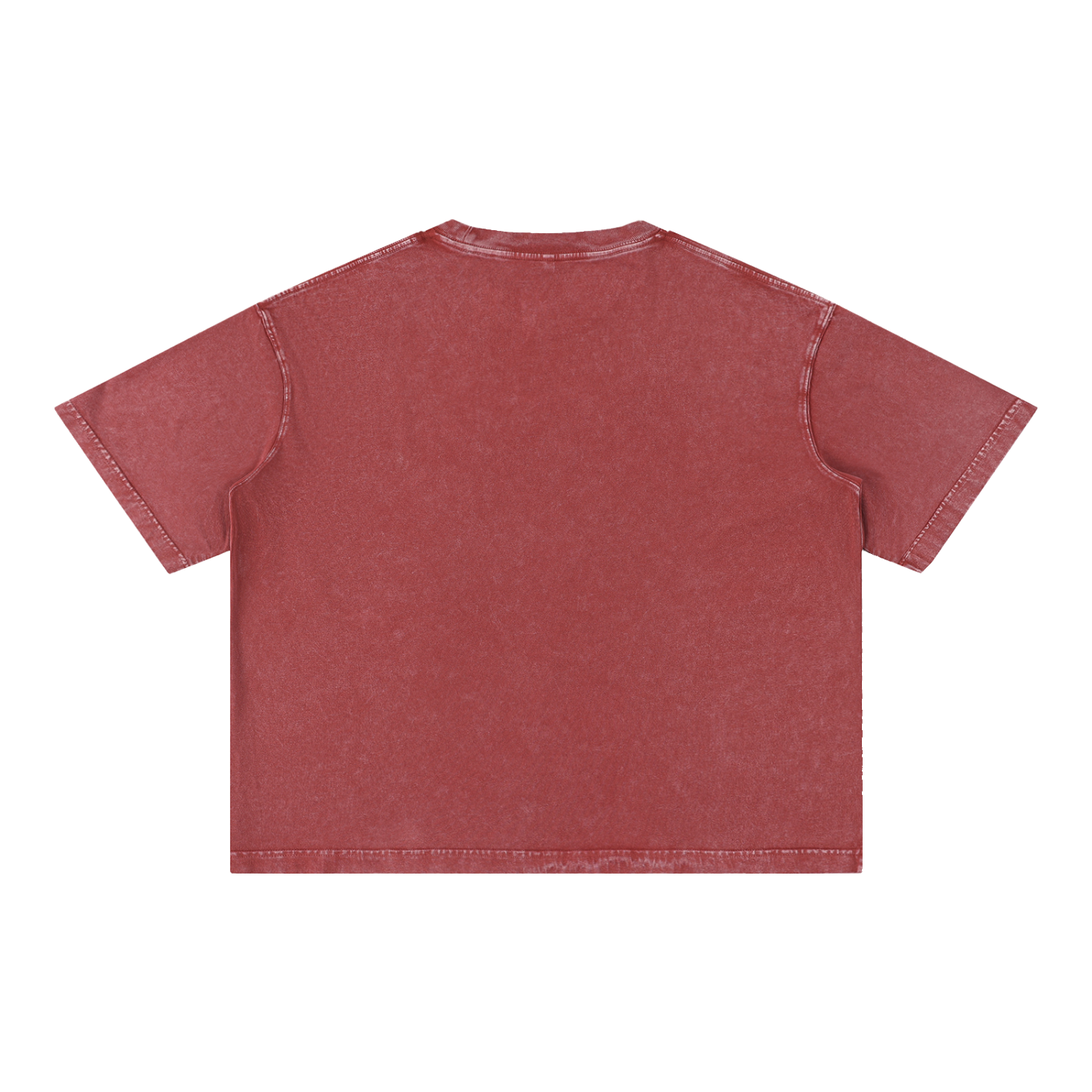 GO BIRDS Adult Mineral Wash Boxy Cotton T-Shirt